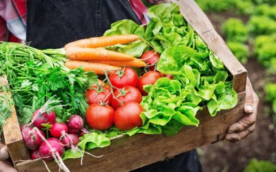 Cảm hứng với Goodness Farm