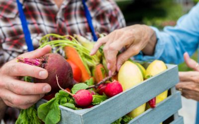 Trải nghiệm nông trại thân thiện